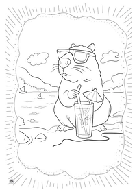 product-img-7