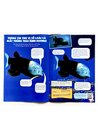 product-img-4