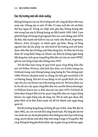 product-img-13