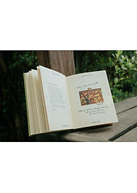 product-img-8
