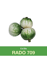 Hạt Giống Cà Dĩa Rado 709