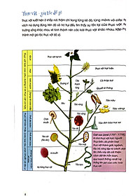 Sách Thực Vật Xinh Đẹp