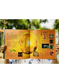 product-img-4