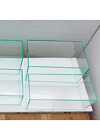 Bể cá mini , Nhiều kích thước lựa chọn, đầy đủ phụ kiện trang trí.