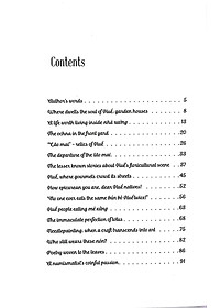 product-img-3