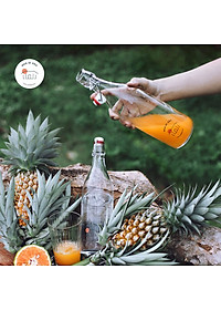 Chai Thủy Tinh Nắp Cài Kín Hơi Giara Bormioli Rocco - 0.5 Lít