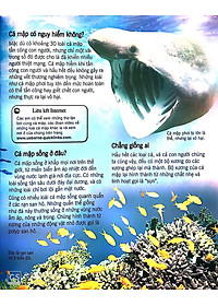 Sách Bách Khoa Tri Thức Về Khám Phá Thế Giới Cho Trẻ Em - Cá Mập (Tái Bản 2018)