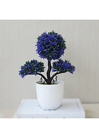product-img-10