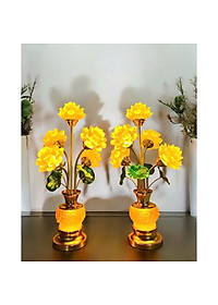product-img-1