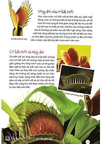 Sách Thực Vật Thần Kỳ