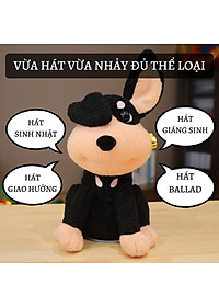 product-img-6
