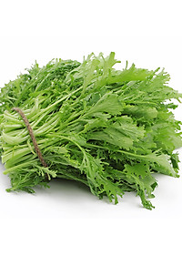 Hạt giống Cải Ngọt Đuôi Phụng 20gram