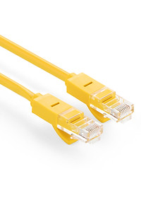Cáp mạng đúc sẵn 2 đầu Cat 5 dài 5M Ugreen NW103 11233 - Hàng Chính Hãng