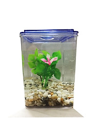 Bể Cá Beta Mini - Hồ Cá Mini Để Bàn Bằng Nhựa Cao Cấp 2 Ngăn 