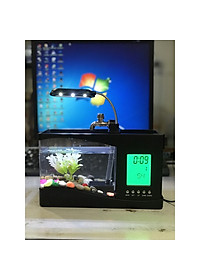 product-img-10