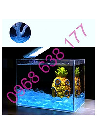 200g ĐÁ XANH PHỦ MỜ LÓT NỀN BỂ CÁ - ĐÁ THẦN KÌ - ĐÁ TRANG TRÍ HỒ CÁ