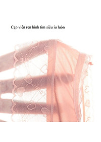 Set 5 Chiếc Quần Lót Su Nữ Nâng Mông Kháng Khuẩn - Quần Lót Nữ Viền Ren Không Đường Viền - Quần Lót Nữ Cao Cấp