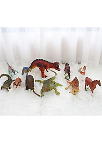 product-img-8