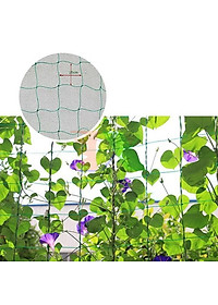 Lưới Làm Giàn Leo Siêu Bền