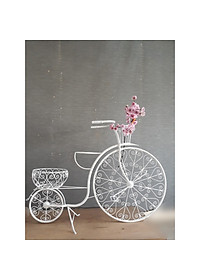 product-img-0