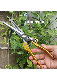 Kéo tỉa cây mũi nhọn cán bằng hợp kim dài 30cm kèm lò xo sơ cua