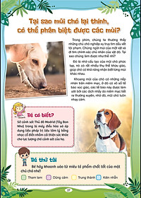 Sách Phát Triển Tư Duy Và Ngôn Ngữ Cho Trẻ - 10 Vạn Câu Hỏi Vì sao - Cùng Trẻ Khám Phá Thế giới Xung Quanh