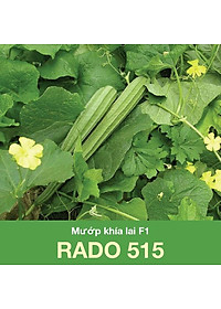 Hạt Giống Mướp Khía Sai Trái, Chịu Nhiệt 10 Hạt
