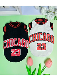 product-img-12