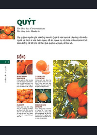 product-img-32