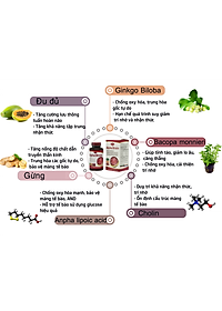 Viên uống bổ não Alpha Brain Olympian Labs Mỹ 60 viên chứa ginkgo biloba giúp tăng cường tuần hoàn não