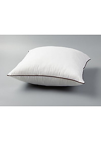 Ruột Gối Vuông Viền Đen Lidaco 45x45cm (1 Chiếc)