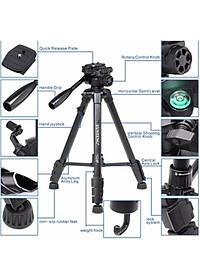 Tripod/ Chân Máy Ảnh Yunteng VCT- 668 