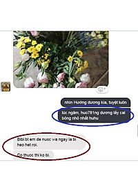 Dung Dịch Xử Lý Hoa TOG Galileo của ISRAEL (Chai 1 Lít) dùng bảo quản hoa cắt cành tươi lâu tại Nhà Vườn Trồng Hoa, Vựa Hoa và Chợ Sỉ Hoa. Tỷ lệ dung dịch 0.1% tức chai 1 Lít TOG pha được 1.000 Lít dung dịch xử lý hoa