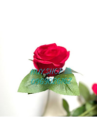 product-img-7