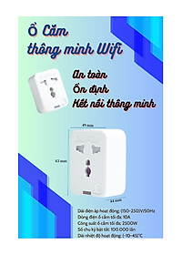 Ổ Cắm Đơn Wifi Rạng Đông