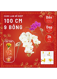 Cành lan hồ điệp giả cao cấp - 1 cành - 9 bông - dài 100cm - Cây giả, hoa lụa Decor trang trí nhà cửa