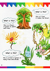 Sách My First Questions & Answers - Rainforest