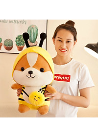product-img-1