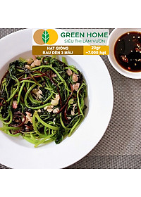 Hạt Giống Rau Dền 3 Màu Greenhome, Gói 20g~7000 hạt, Dễ Trồng Quanh Năm, Nảy Mầm Cao, Thu Hoạch Nhanh, Năng Suất Cao R15