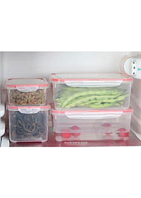 Combo 4 hộp nhựa chữ nhật bảo quản thực phẩm Inomata (Full size) - Có khóa nắp 4 chiều