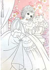 product-img-6