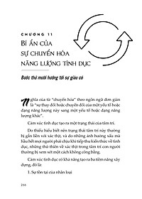product-img-10