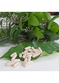 Thực phẩm bảo vệ sức khỏe Khớp khỏe mạnh Teresa Herbs Healthy Joint (lọ 90 viên)