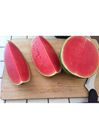 Combo 6 gói hạt giống dưa hấu dưa lưới các loại - tặng 1 gói phân bón