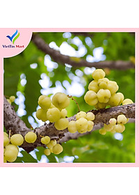 Chùm Ruột Sấy Chanh Muối Viettin Mart 500GR