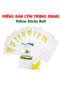 product-img-4