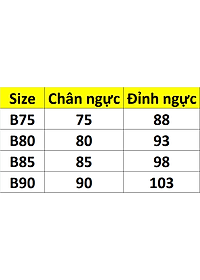 Áo ngực mỏng thêu hoa cài trước có gọng
