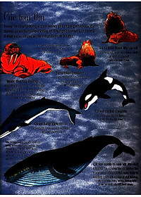 Sách Tương Tác - Big Book - Cuốn Sách Khổng Lồ Về Các Loài Động Vật Biển (Tái Bản 2018)