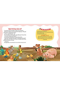 product-img-6