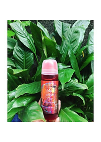product-img-8